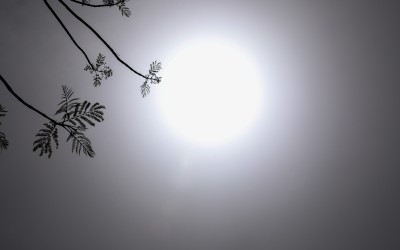 Καιρός: 40άρια από σήμερα και για τις επόμενες μέρες