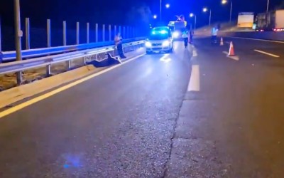 Αυτοκίνητο συγκρούστηκε με αρκούδα στην Εγνατία Οδό – Δείτε video 