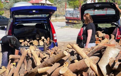 Ξύλα για το τζάκι: Επιτρέπεται να τα μεταφέρω με το αυτοκίνητο; - Τι λέει ο νόμος
