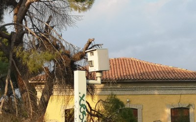 Κάμερα της αστυνομίας έγραψε για ταχύτητα ένα...πουλί!