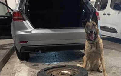 Σκύλος της ΕΛΑΣ έβγαλε «λαβράκι» στα σύνορα του Έβρου – Τι βρήκε στο αυτοκίνητο; (video)