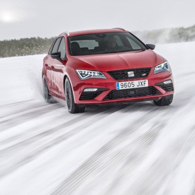 Αυτό είναι το καλύτερο Leon