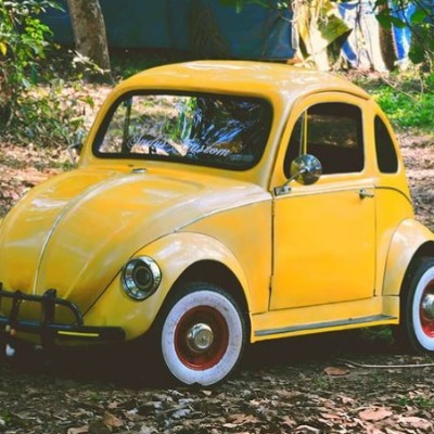 Ινδός έφτιαξε απομίμηση του Σκαραβαίου (video)