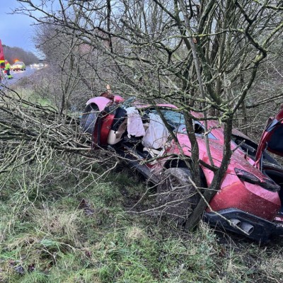 Ferrari έκανε προσπέραση σε αστυνομικό και κατέληξε στα δέντρα [εικόνες]