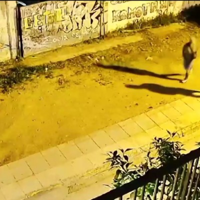 Ελλάδα: Του έκλεψαν το Toyota Yaris σε 17 δευτερόλεπτα - Δείτε το video