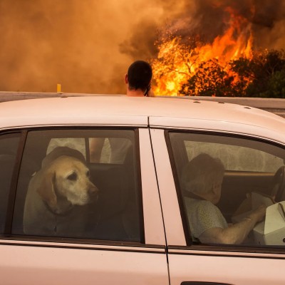 Φωτιές: Τι πρέπει να κάνεις αν δεις πυρκαγιά στον δρόμο;
