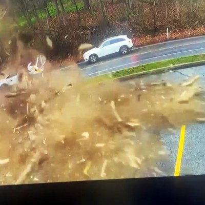 Η στιγμή του 1 εκατομμυρίου – Δέντρο διαλύει σαν καρυδότσουφλο μεγάλο SUV [video]