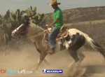 Highlights του WRC Μεξικού