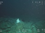 Nissan Around View Monitor in Oceans