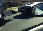Lamborghini murcielago with goats in the trailer!