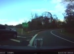 Tesla Model X helps avoid potential accident