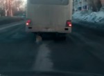 Κορμός δέντρου αντί για… ελαστικό!