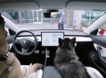 Tesla Dog Mode
