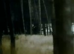 Opel commercial: 1972 Opel Rekord D
