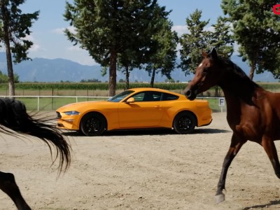 GOCAR TEST - Ford Mustang Fastback 2.3 Ecoboost Auto