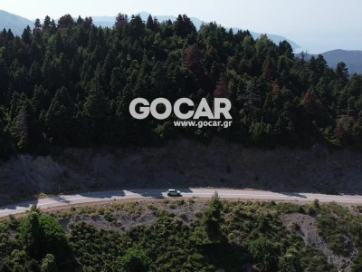 GOCAR TEST - FIAT Grande Panda Hybrid